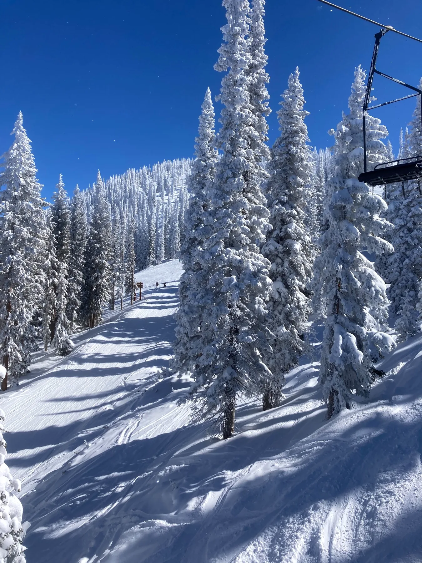 Snow covered ski trail